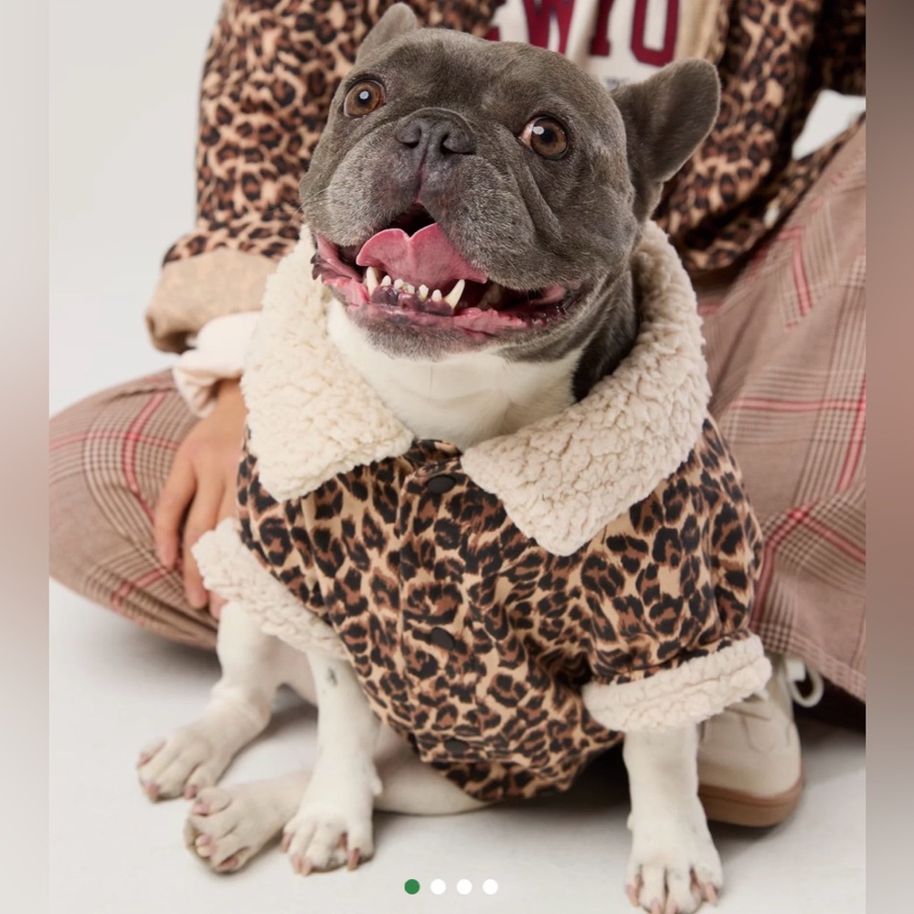 Aerie Leopard Dog Coat with Cream Fleece Collar